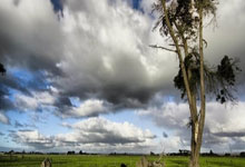 开云体育-卡尔蒂斯全力冲击冠军，关键球员备战状态受关注