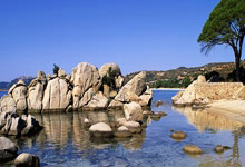 开云体育APP下载-恩菲尔德调整进攻阵容，应对强力防守