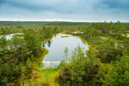 开云体育中国-包含格鲁吉亚挑战爱沙尼亚，争取重返胜利之路的词条