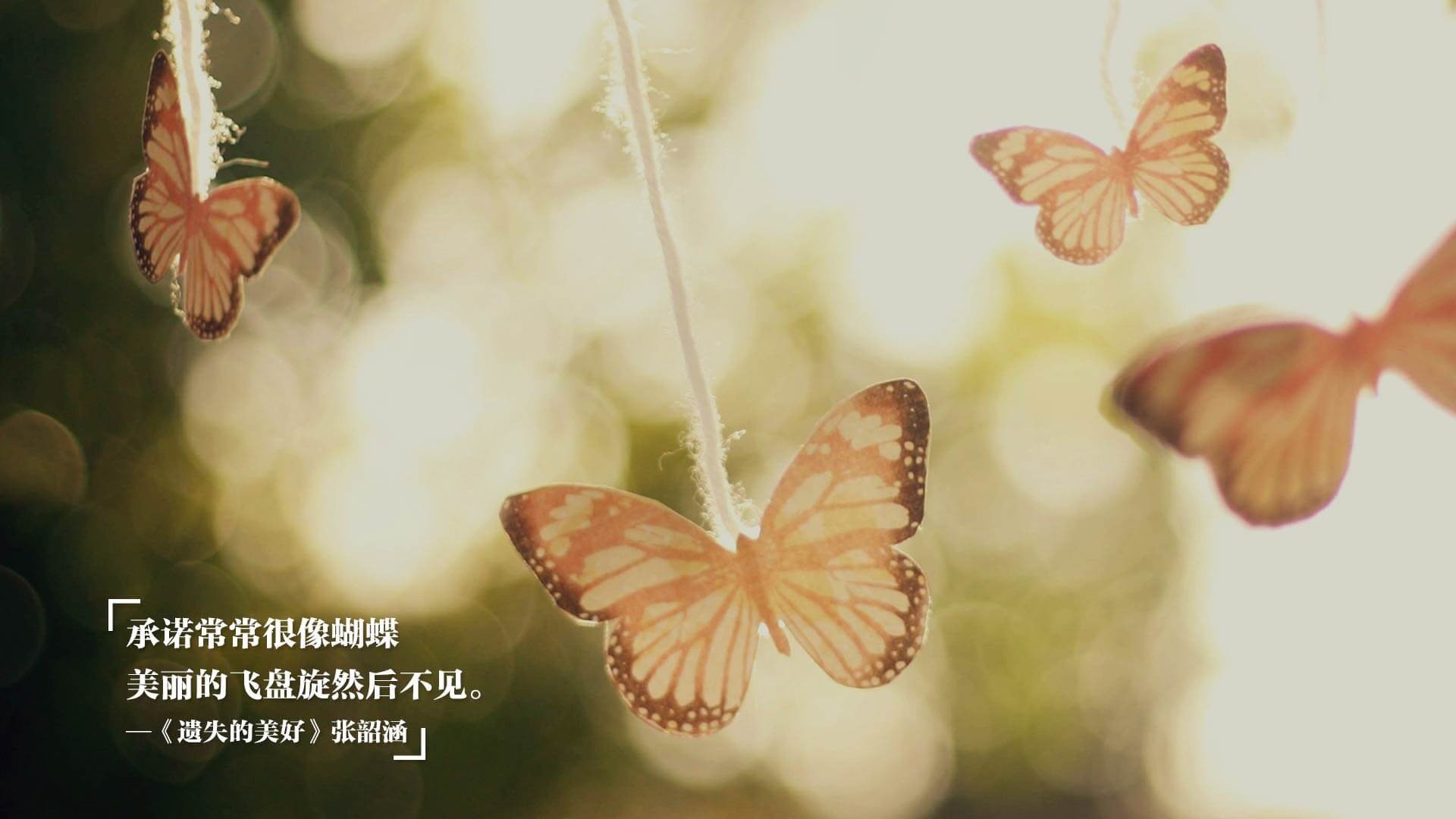 绿茵场与硬木地的共鸣，西甲国家德比焦点战与魔术绝杀步行者的体育启示