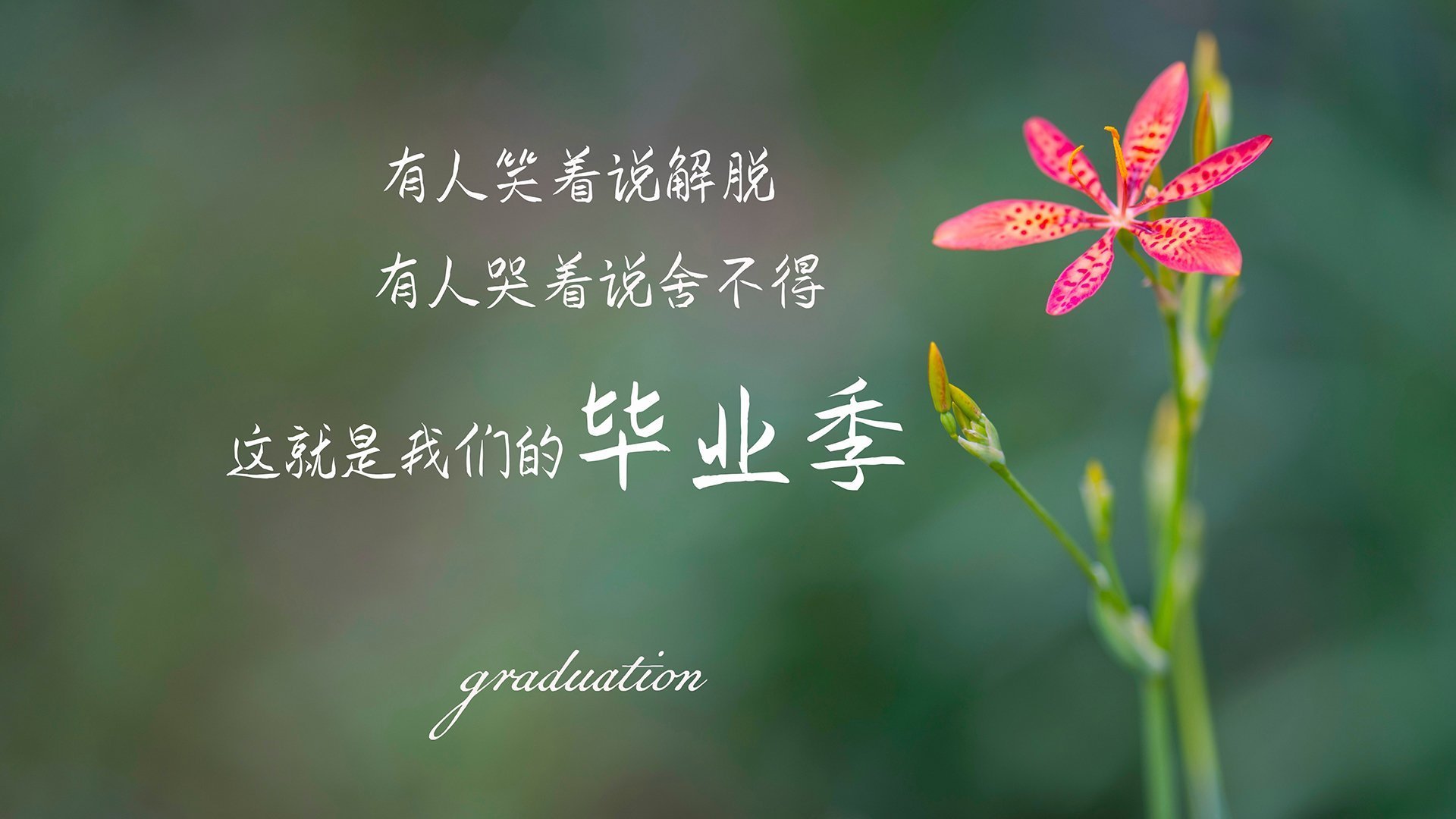 双线冲刺！德甲争冠白热化 湖人魔法冲垮魔术