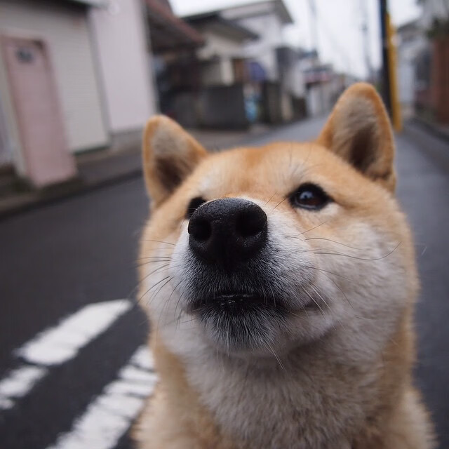 卡马文加关键节点连击定乾坤，洪都拉斯与罗马友谊赛激战纪实