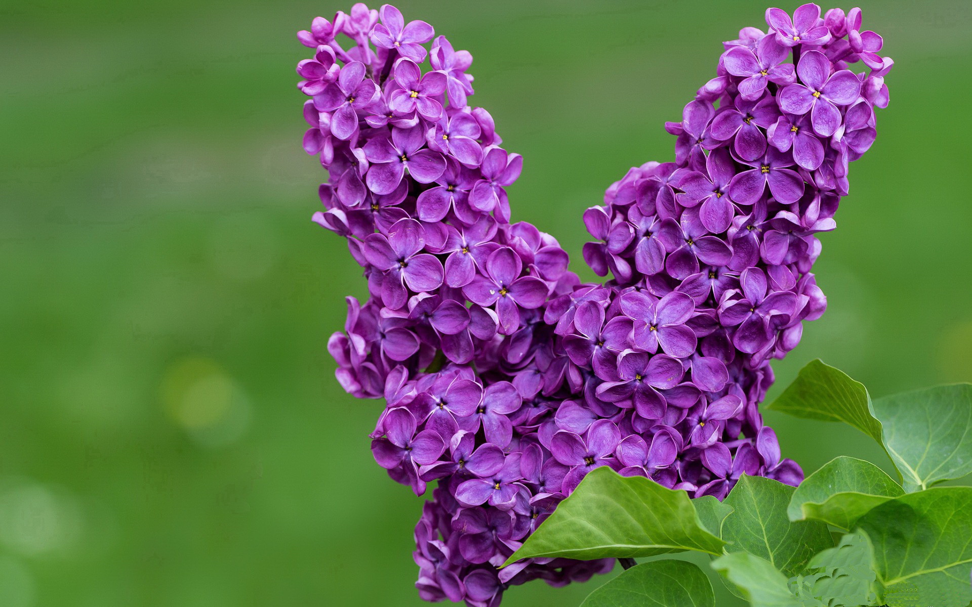 当紫金风暴席卷天山，篮球世界里没有不可能
