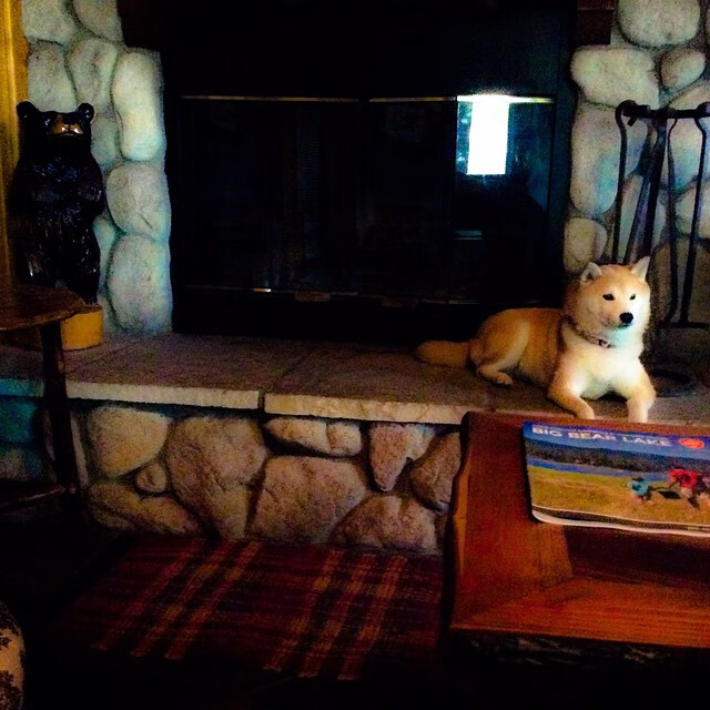 魔术硬仗取胜奇才，伦纳德化身致命刺客锁定胜局