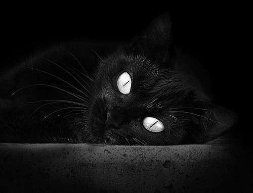 F1年度争冠焦点战，公牛带走掘金的启示