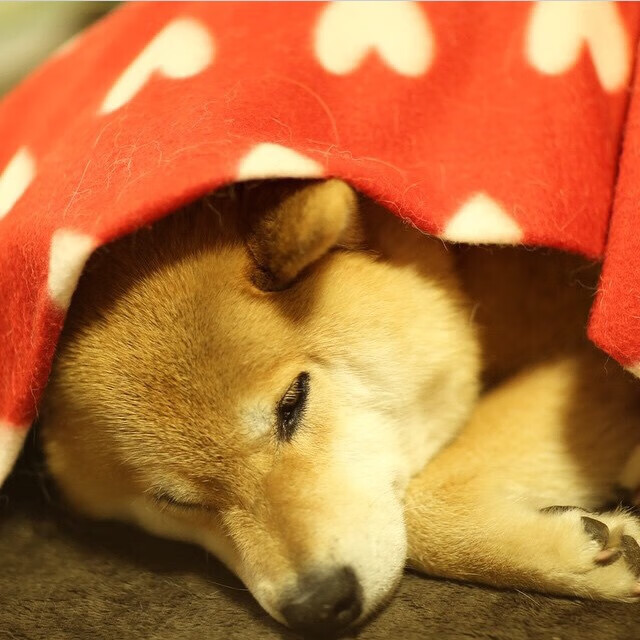 教科书之夜，切特如何用一己之力定义欧冠淘汰赛