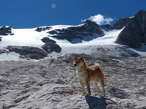 开云体育官网-冰与火之歌，当上海精密击穿洛城孤岛，爱德华兹正书写新王传说