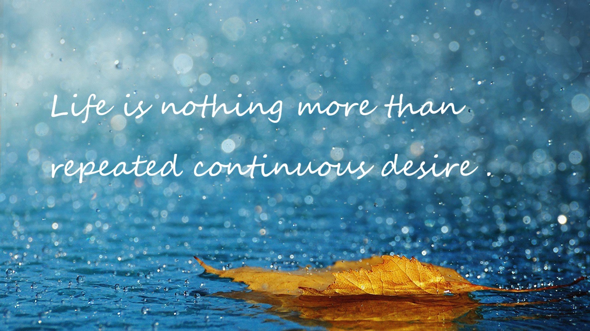 凯尔特人全队发力粉碎深圳队,西亚卡姆堪称关键先生