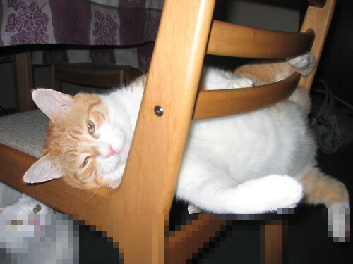 弗拉霍维奇点燃巴尔干之魂,西班牙血拼克罗地亚终现冠军底色