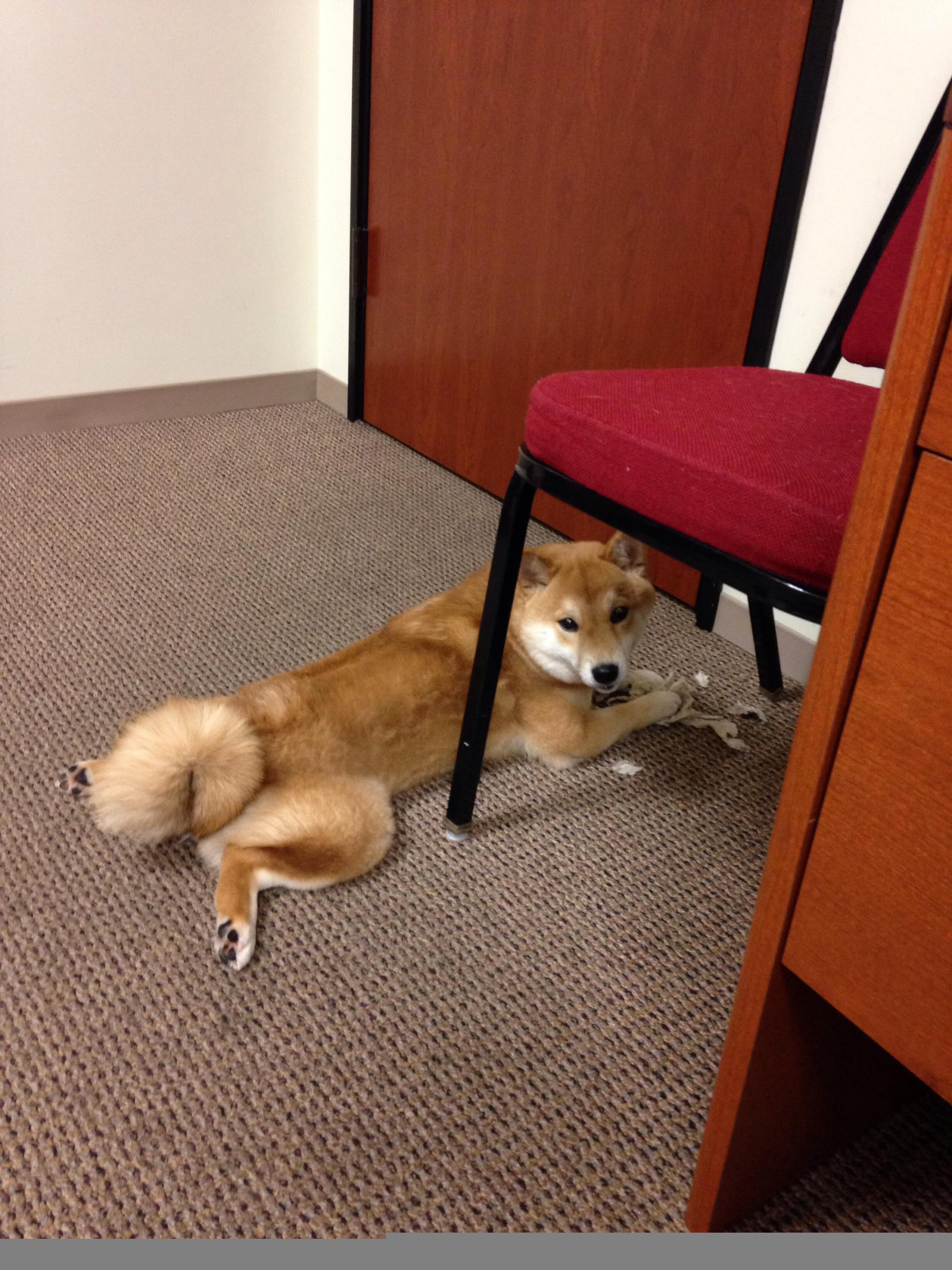 鹈鹕巨浪粉碎马刺稚嫩防线,字母哥里程碑铸就王者之路