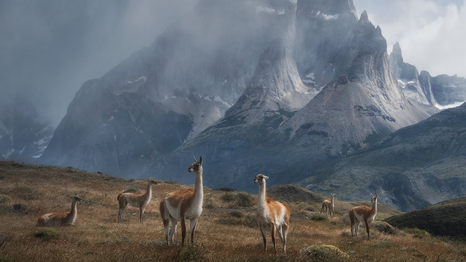 当狐狸指挥天空,老鹰用一场团队绞杀,为个人英雄主义写下冰冷注脚