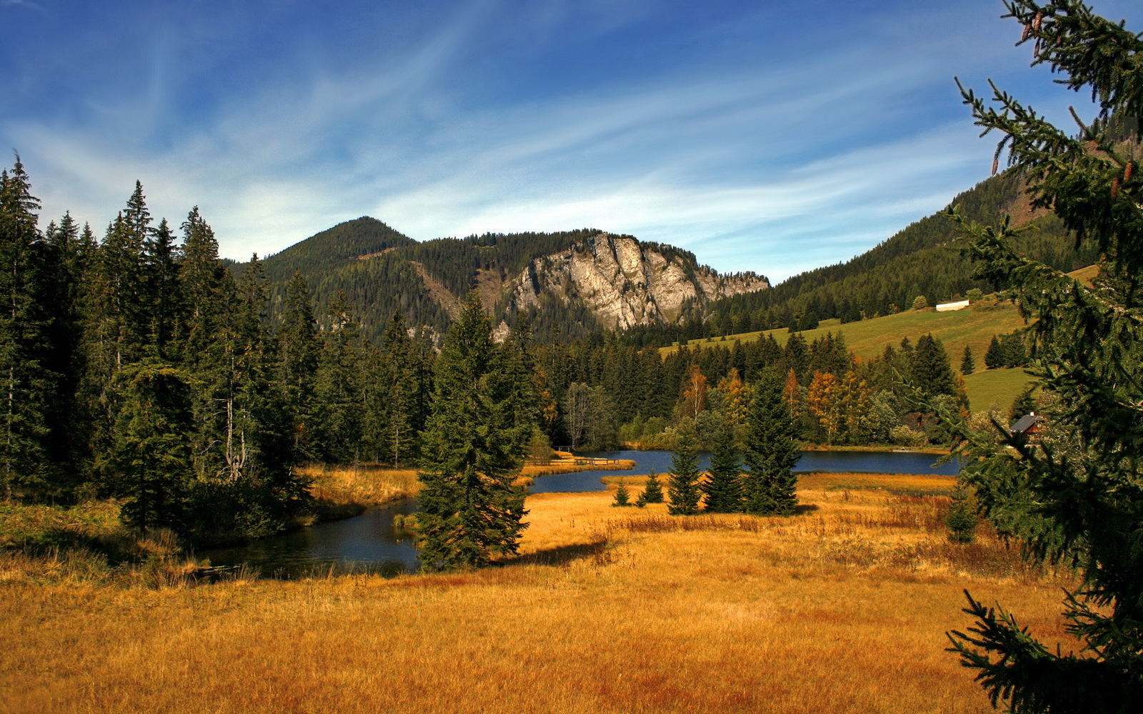 开云体育下载-撕裂防守的艺术，文班亚马如何成就年度焦点之夜的完美国度