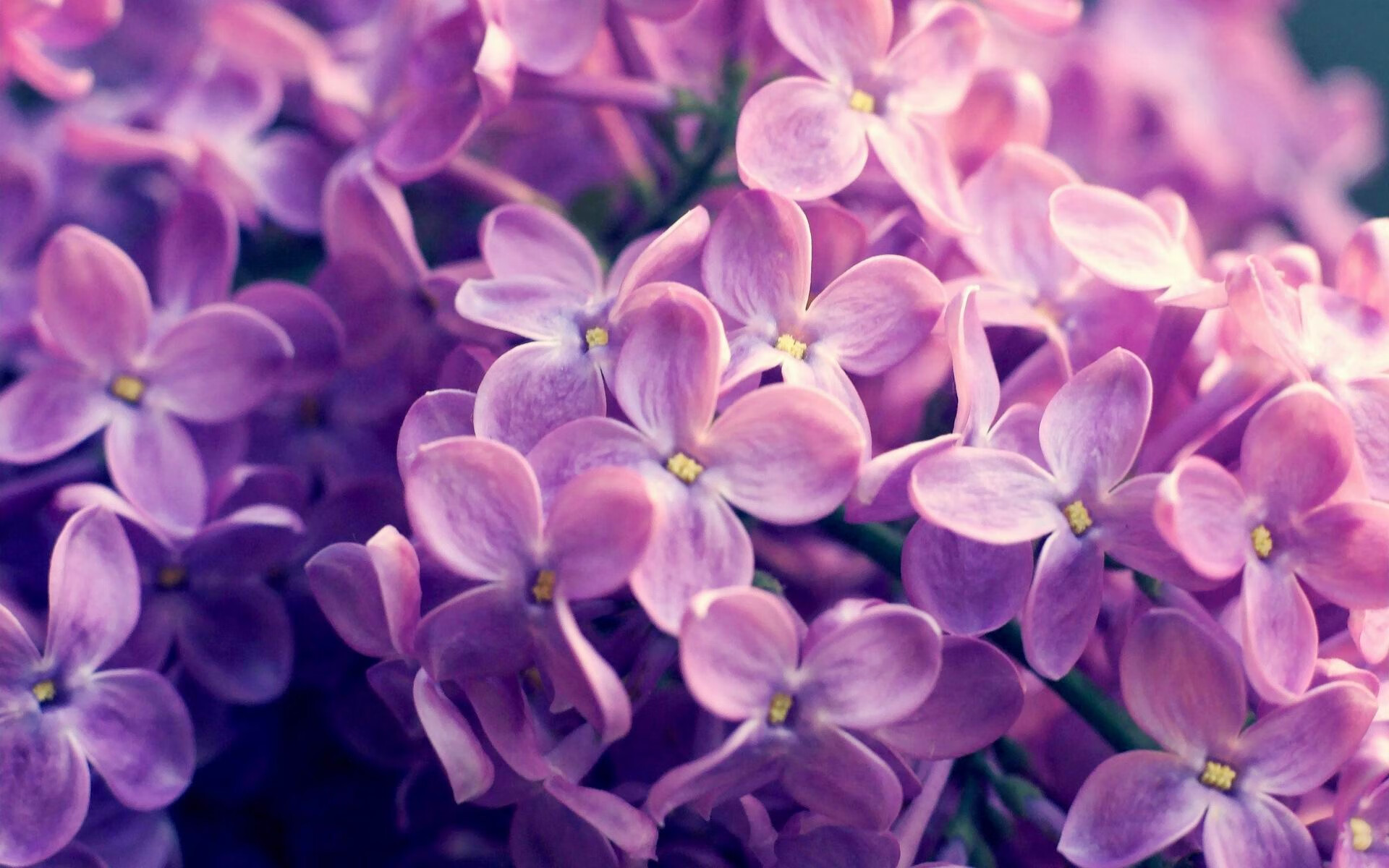 开云体育官方网站-久保建英一球定乾坤，亚洲之光刺破东欧铁幕