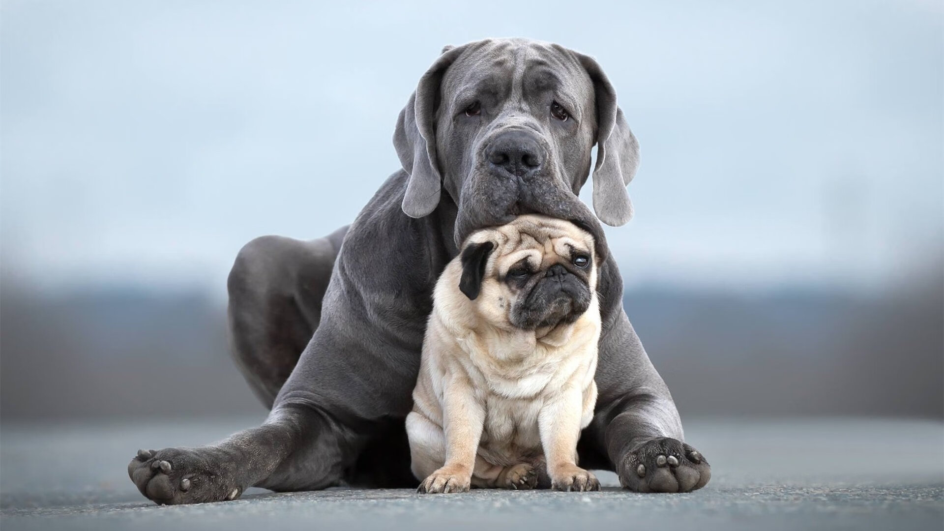 开云体育在线-拉梅洛化身攻防枢纽，吉林队火力全开压制广厦