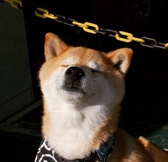 开云体育入口-篮球魔术师与足球艺术家，当制霸与接管在同一夜上演