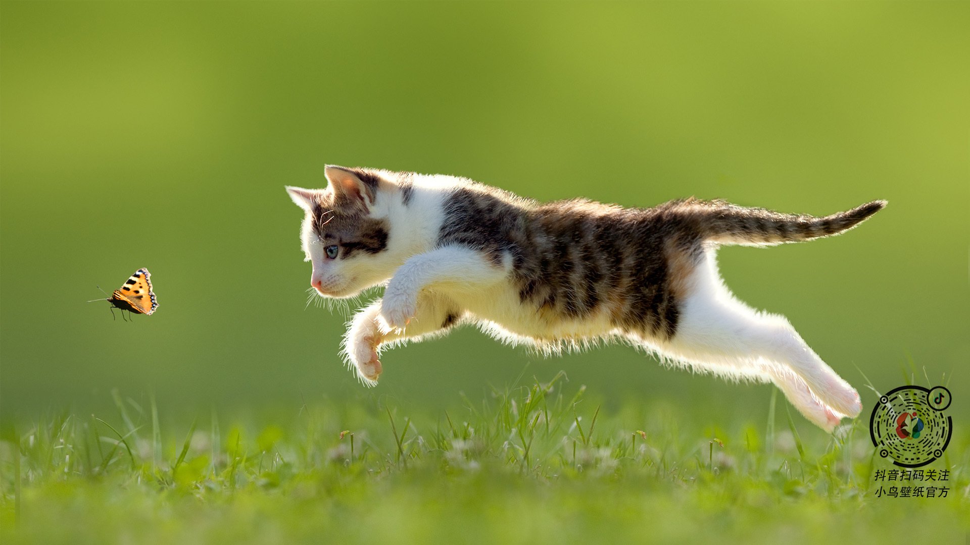 冰与火的交响，从冰岛逆转埃及到巴尔韦德的现代足球寓言