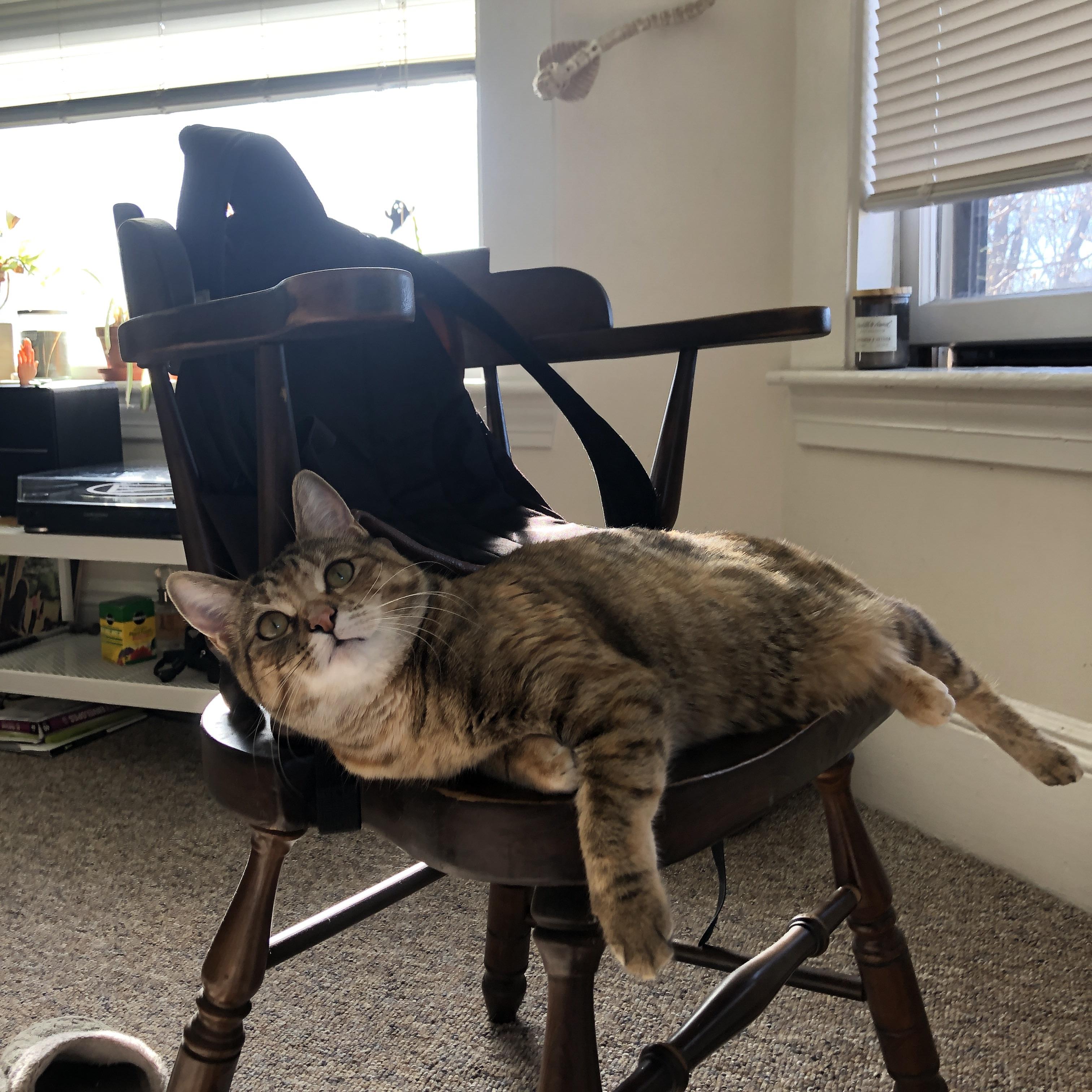 雷鬼狂想曲终章，久保建英在拜仁加时奏响的东亚强音