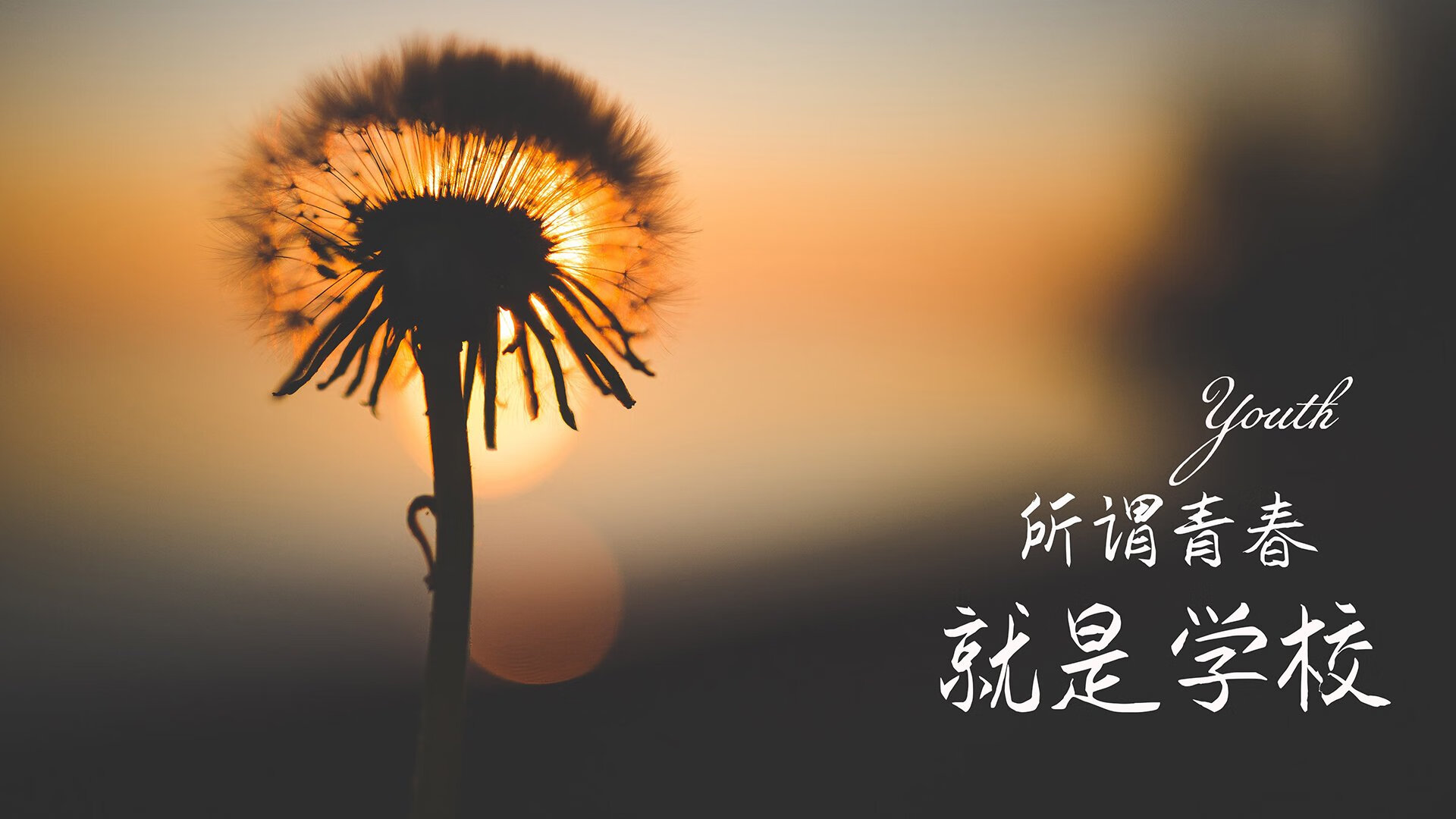 魔幻之夜,匈牙利逆转日本,萨卡闪耀全场引领2026世界杯C组强强对话