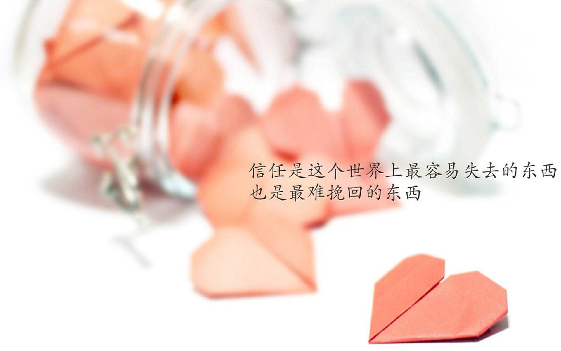 开云体育APP下载-萨内压哨绝杀闪耀全场，加纳力克沙特引爆2026世界杯B组强强对话