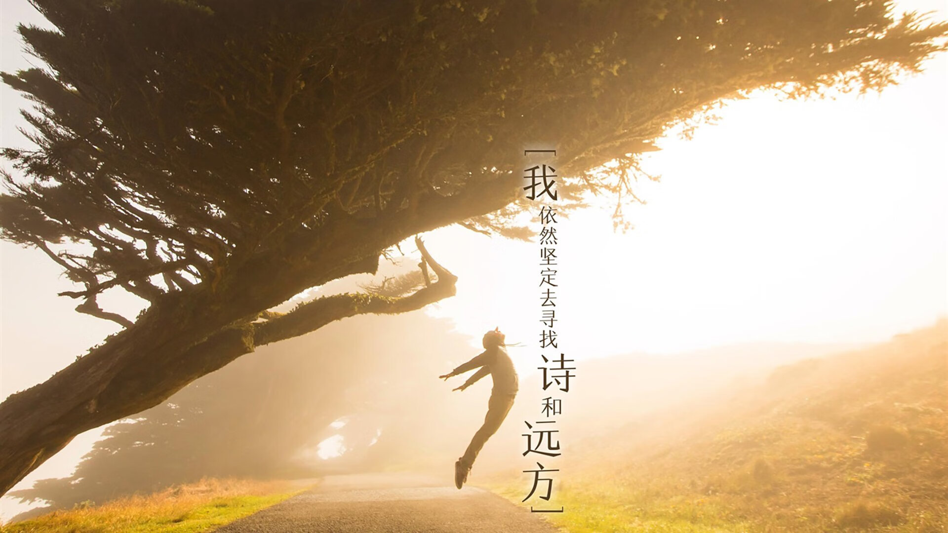 橙色风暴席卷非洲雄狮，2026世界杯H组焦点战，荷兰3-1击败喀麦隆，萨卡惊艳全场